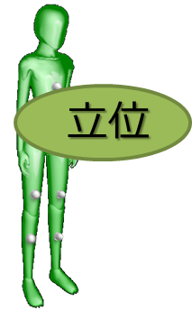 ���茋�ʁi���ʁj