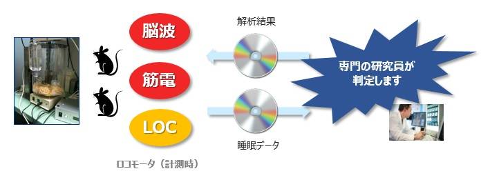 �����]�g��̓T�|�r�X�@�����p�r