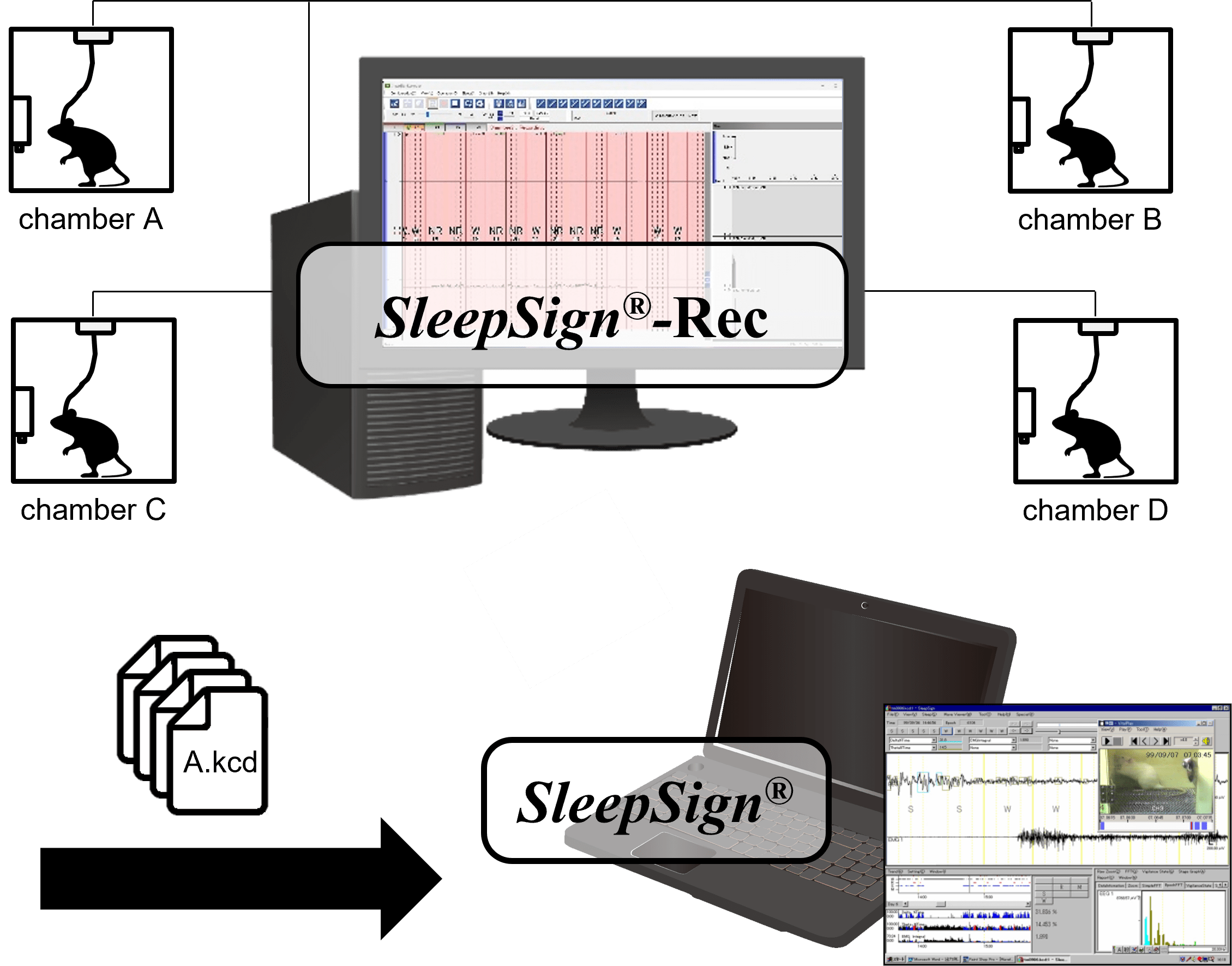 SleepSignRec